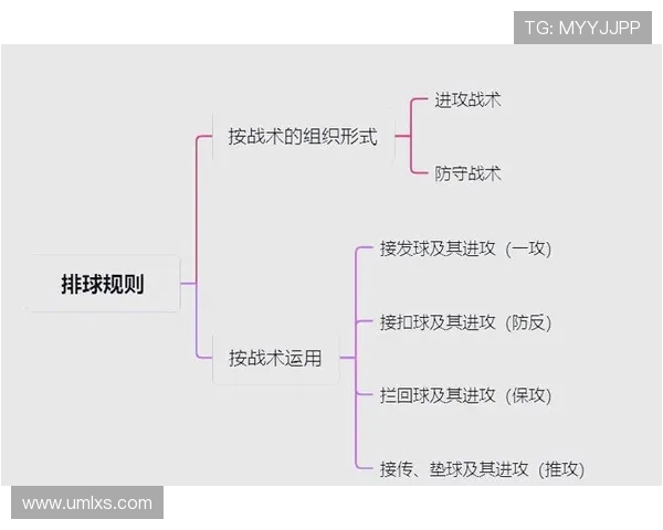 重庆排球队的反击策略与战术解析深度剖析排球竞技的魅力与挑战